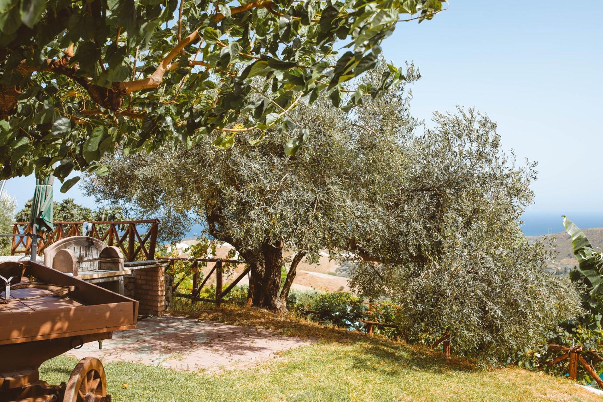 Calami - Villa Romeo - Private Apartments With Pool, Seaview & Olive Grove Santa Caterina Dello Ionio Marina Exterior photo