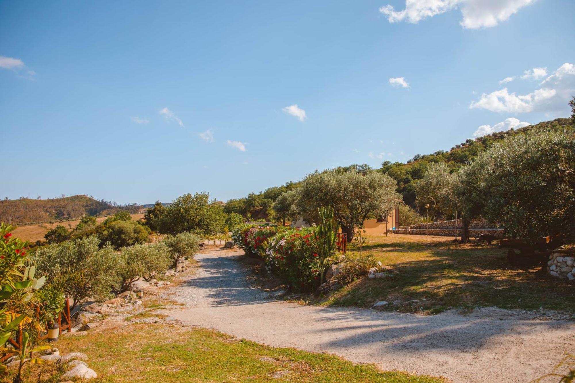 Calami - Villa Romeo - Private Apartments With Pool, Seaview & Olive Grove Santa Caterina Dello Ionio Marina Exterior photo